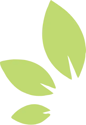 Hoja